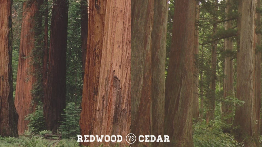 Redwood Vs. Cedar