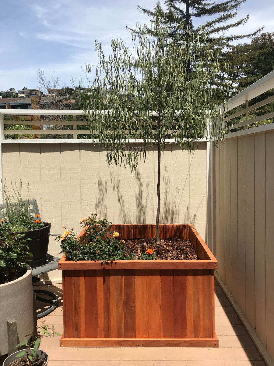 wood box planters for trees Santa Barbara Redwood Planter Boxes - 100% Redwood