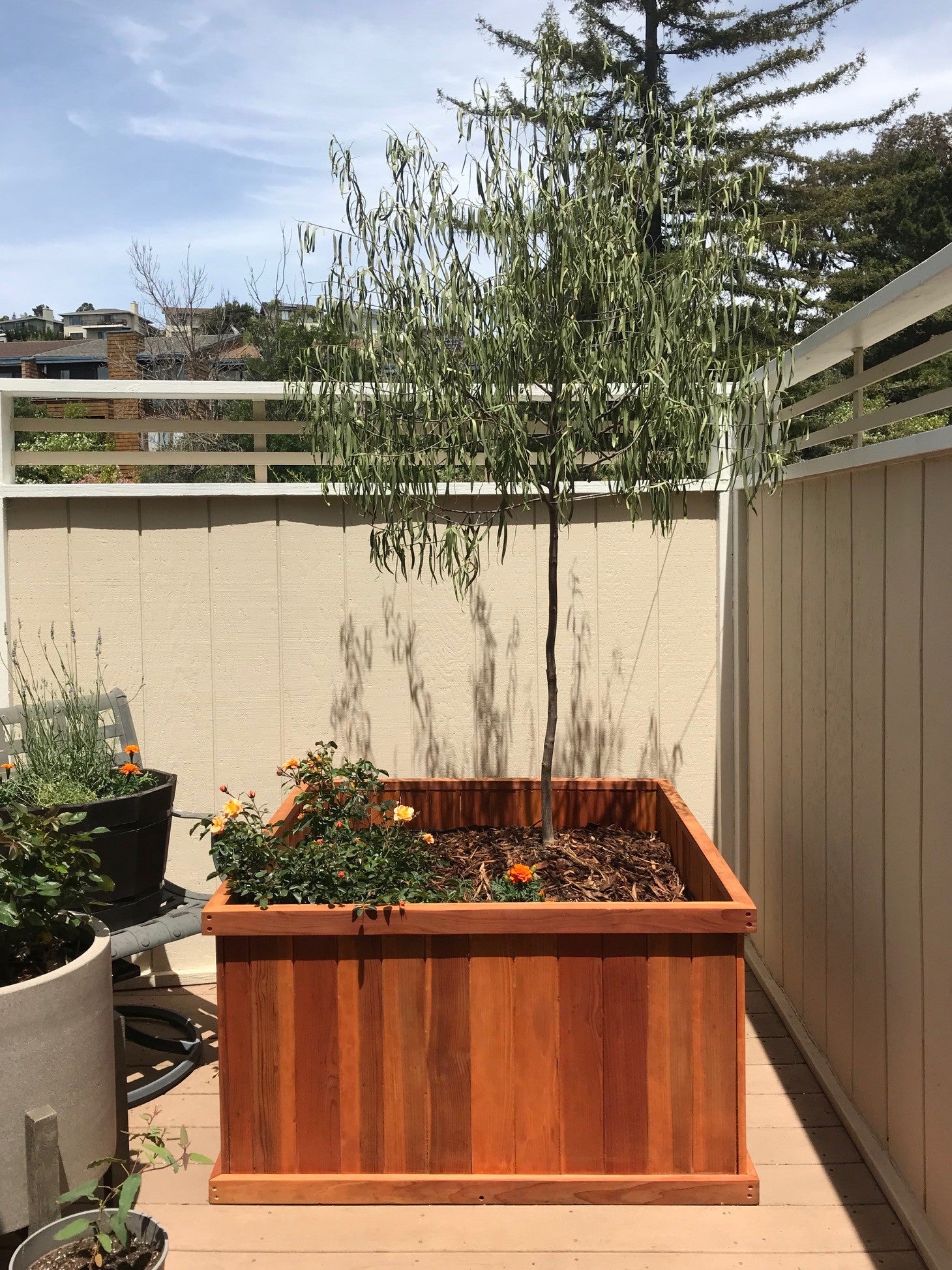 best wood for planters boxes Santa Clara Redwood Planter Box