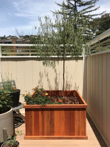 Santa Clara Redwood Planter Box - Best Redwood