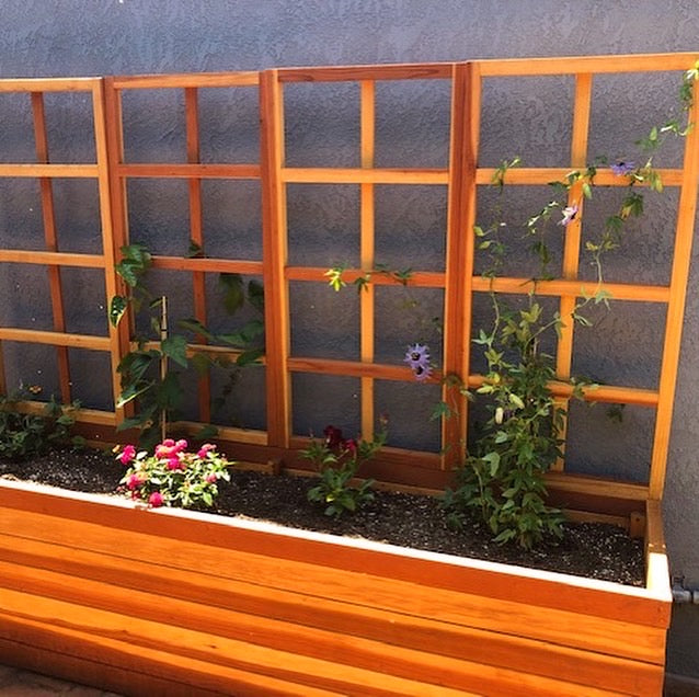 redwood planters boxes San Laura's Redwood Planter Box with Trellis